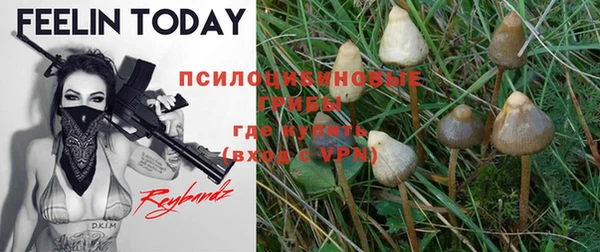 герыч Кинешма