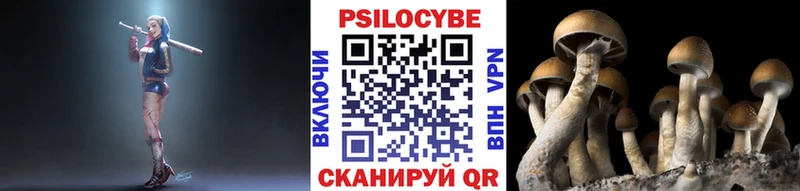 Купить  Заозёрный  Псилоцибиновые грибы Psilocybine cubensis 