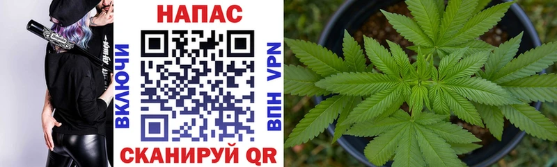 Купить закладки  Заозёрный  Шишки марихуана White Widow 